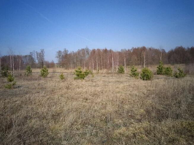 Działka budowlana 2462m2 Brańszczyk