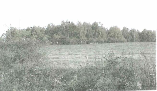 syndyk sprzeda nieruchomość Nowe Kiejkuty 215/4