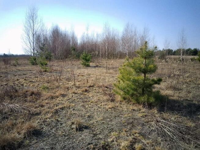 Działka budowlana 2462m2 Brańszczyk