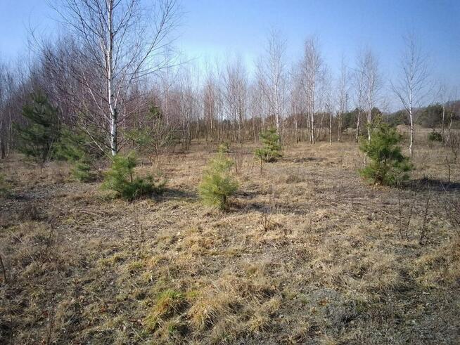 Działka budowlana 2462m2 Brańszczyk