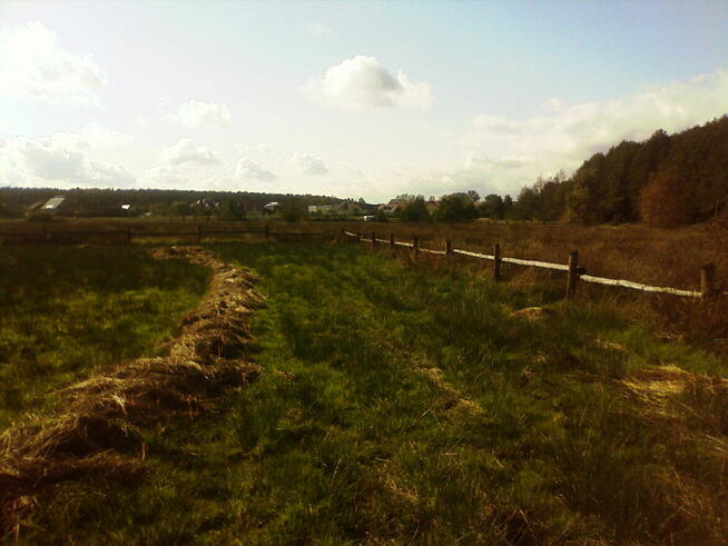 działka 2szt rolne2400m2 Białogóra /Dębek700m morze