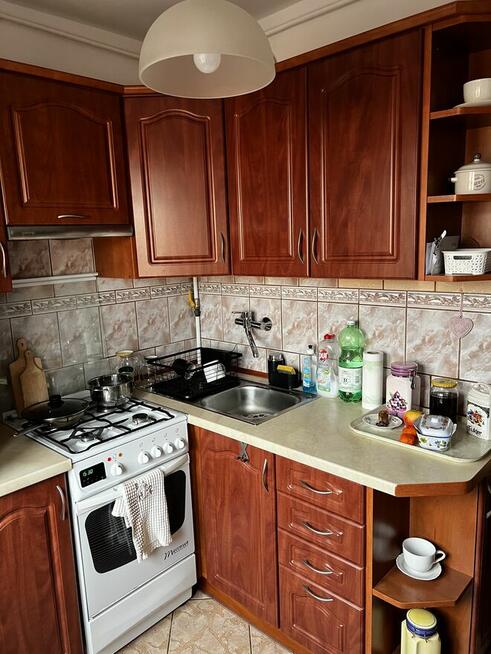 2-pokojowe mieszkanie z loggią w Krynicy Zdrój