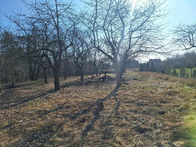 Przepiękna Działka budowlana na sprzedaż w Tryszczynie.
