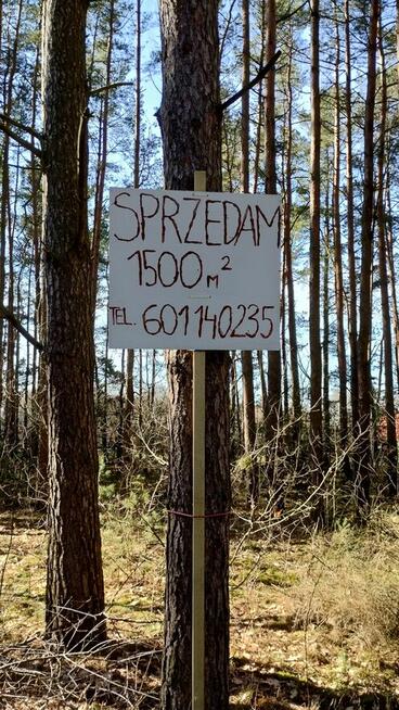 Działka leśna z prawem zabudowy jednorodzinnej