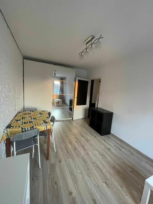 Wynajmę mieszkanie Poznań Os. Jagiellońskie