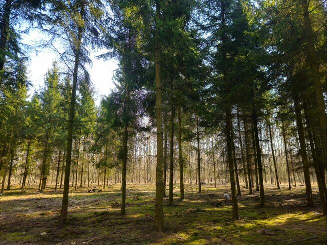 Działki bud. 1202M2; WZ; STUDNIE