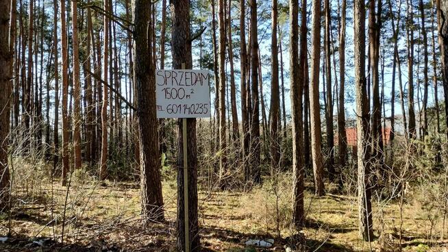 Działka leśna z prawem zabudowy jednorodzinnej