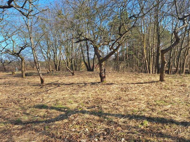 Przepiękna Działka budowlana na sprzedaż w Tryszczynie.