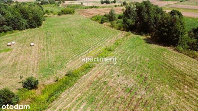 Działka, 11 400 m², Lubasz