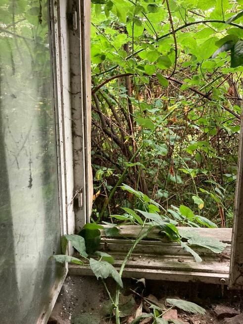 Baborów - działka z domem do rozbiórki za cenę 70.000,- zł.