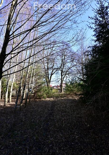 Dom z dużą działką 3700 m²