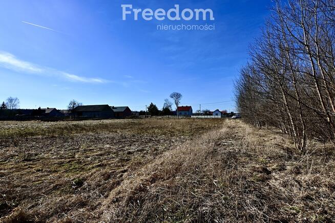 Dom z dużą działką 3700 m²