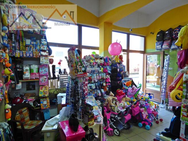 Lokal użytkowy Gryfów Śląski