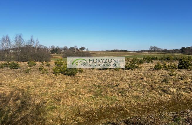 Kolonia (gm.Kartuzy) działka