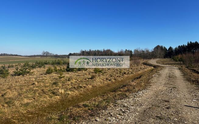 Kolonia (gm.Kartuzy) działka