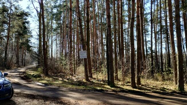 Działka leśna z prawem zabudowy jednorodzinnej