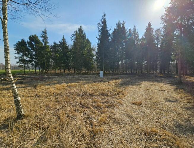 Działki bud. 1202M2; WZ; STUDNIE