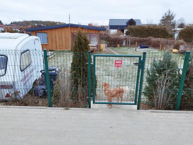 Na sprzedaż działka ROD w miejscowosci Ruciane Nida