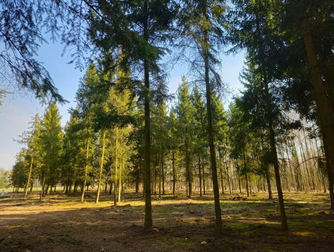 Działki bud. 1202M2; WZ; STUDNIE