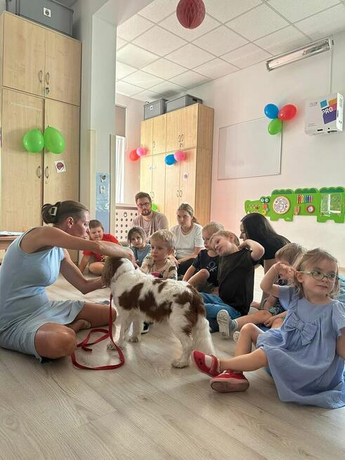 Effectis - PRZEDSZKOLE TERAPEUTYCZNE dla dzieci z autyzmem