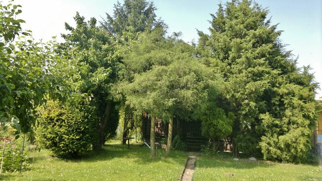 Sprzedam działkę rekreacyjną ROD z domkiem w Wieliczce