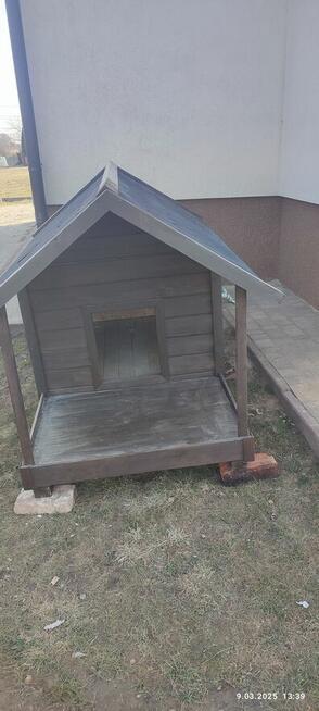 Buda dla psa