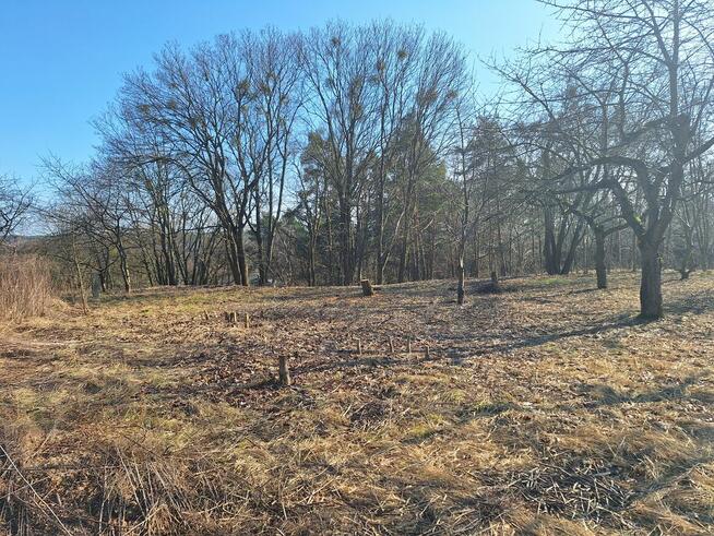Przepiękna Działka budowlana na sprzedaż w Tryszczynie.