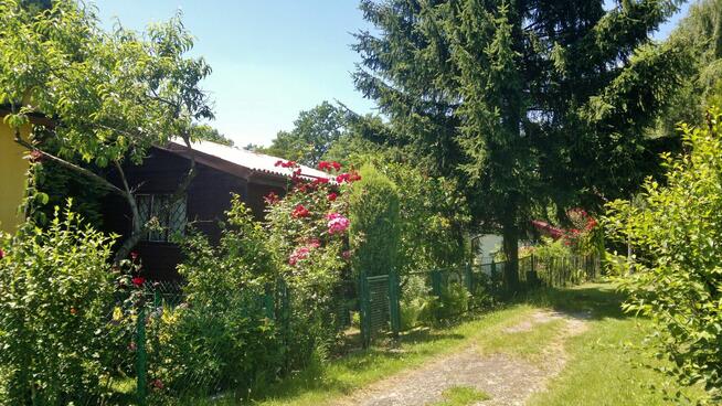 Sprzedam działkę rekreacyjną ROD z domkiem w Wieliczce