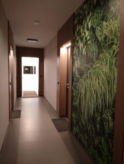 Do wynajęcia 100 m 4 pokoje