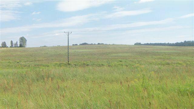 Do wynajęcia 70 ha blisko autostrady A-4 Małopolskie/Śląskie