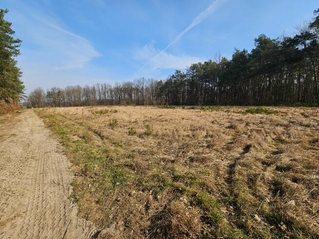 Działka budowlana 1000M2; WZ; BRZÓZA