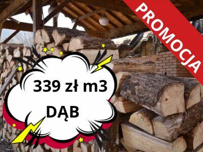 Dąb świeży w promocji