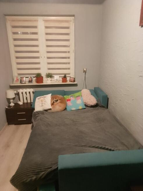 Sprzedam mieszkanie 57 m w Opatowie