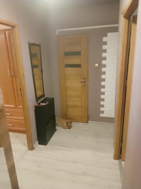 Sprzedam mieszkanie 57 m w Opatowie