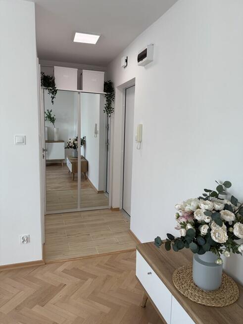 Kawalerka dla singla lub pary