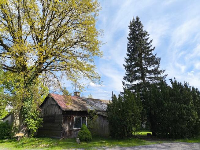 SURVIVAL Z RODZICEM pod W-wą!