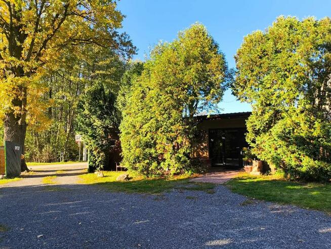 SURVIVAL Z RODZICEM pod W-wą!