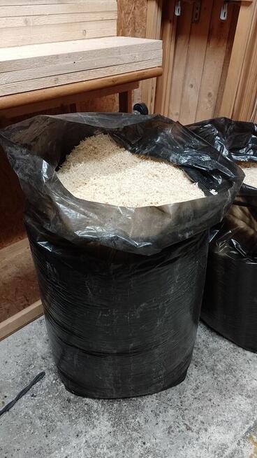 Trociny 120L suche bez pyłu z drewna po suszarni trocina wor