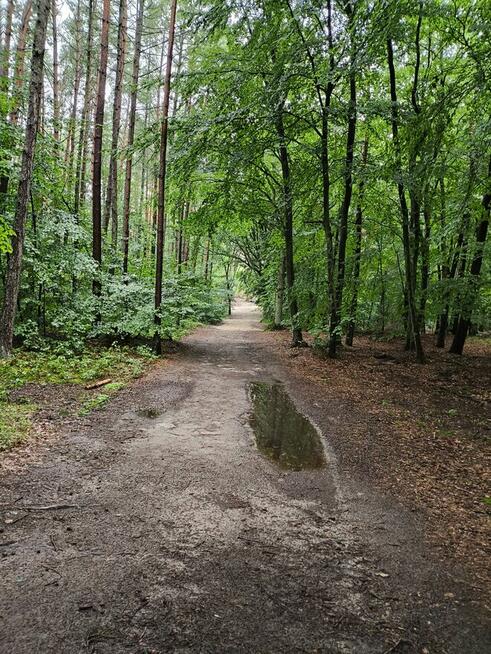 SURVIVAL Z RODZICEM pod W-wą!