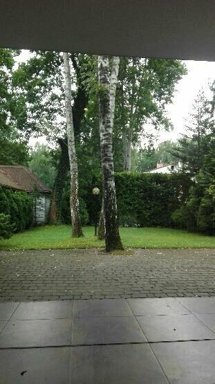 Lokal użytkowy Warszawa Wesoła, Wola Grzybowska, Lipowa