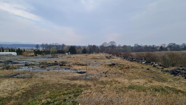 Do wynajęcia działka ogrodnicza Sosnowa