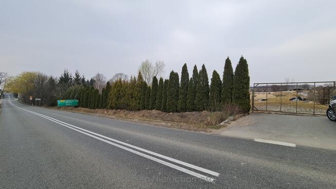 Do wynajęcia działka ogrodnicza Sosnowa