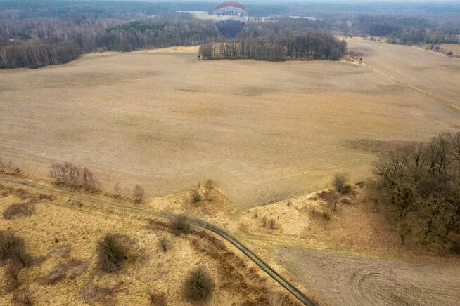 Działka rolna | Grabowno Wielkie| Twardogóra