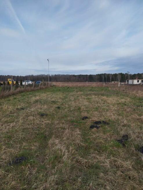 STARGARD, KOBYLANKA, Niedżwiedź, DZIAŁKA sprzedaż