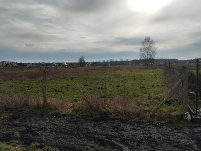 STARGARD, KOBYLANKA, Niedżwiedź, DZIAŁKA sprzedaż