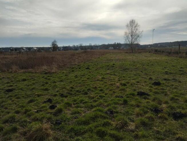 STARGARD, KOBYLANKA, Niedżwiedź, DZIAŁKA sprzedaż