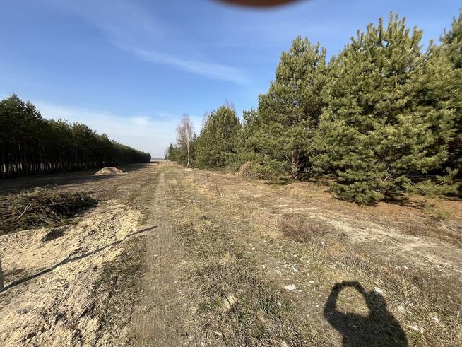 Działka z WZ w Wólce Gonciarskiej gm. Kazanów.