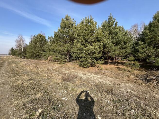 Działka z WZ w Wólce Gonciarskiej gm. Kazanów.