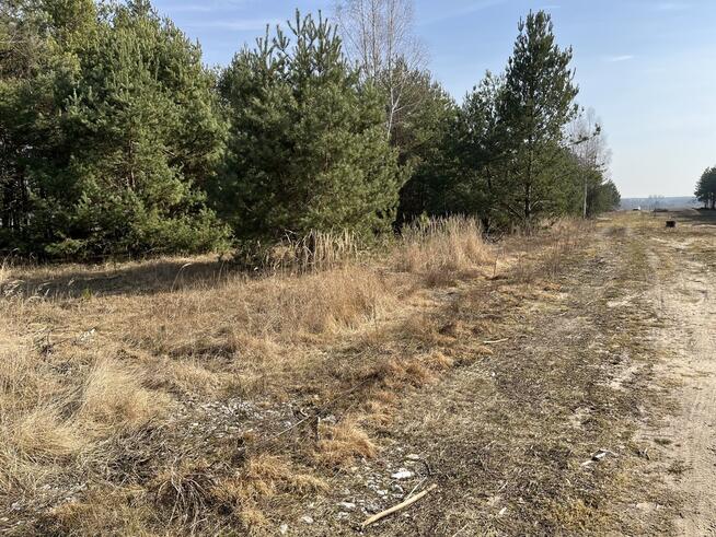 Działka z WZ w Wólce Gonciarskiej gm. Kazanów.