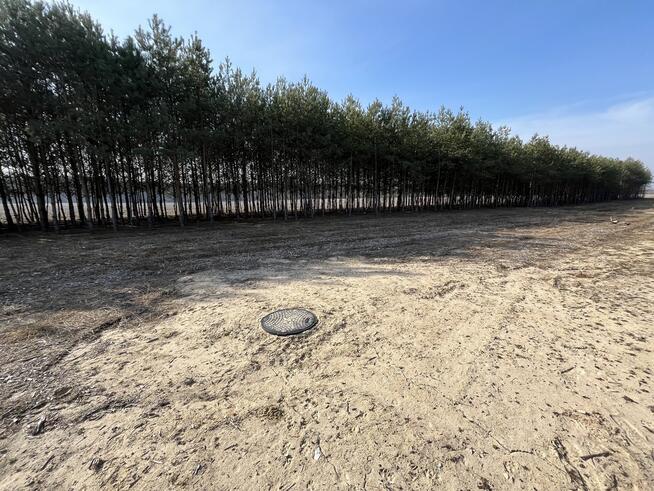 Działka z WZ w Wólce Gonciarskiej gm. Kazanów.